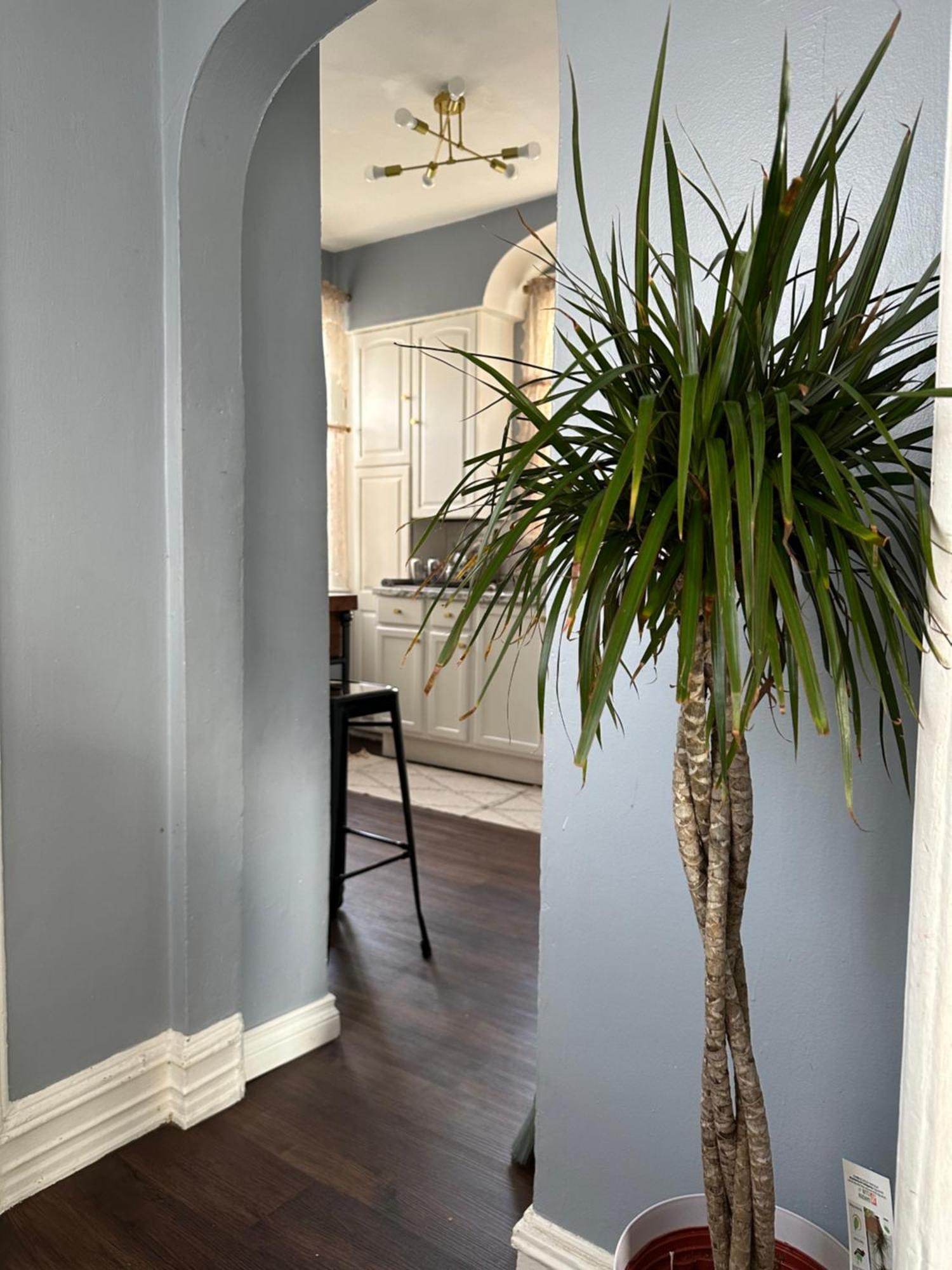 Zo Family Cottage Mount Vernon エクステリア 写真